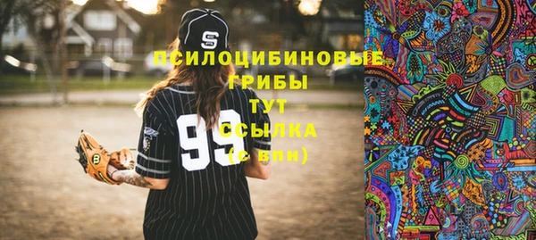 соль курить ск Алзамай