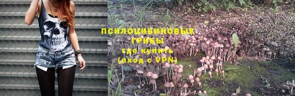 стаф Алексеевка