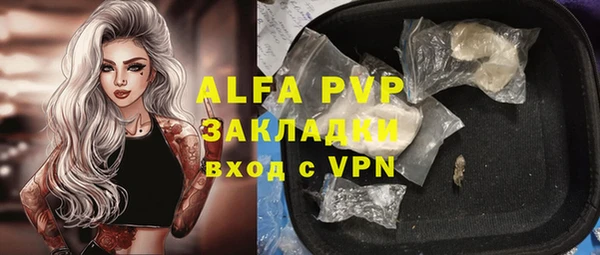 стаф Алексеевка